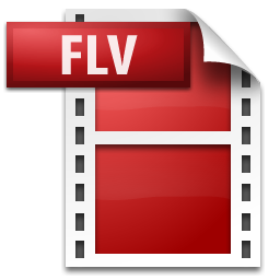 FlashVideo