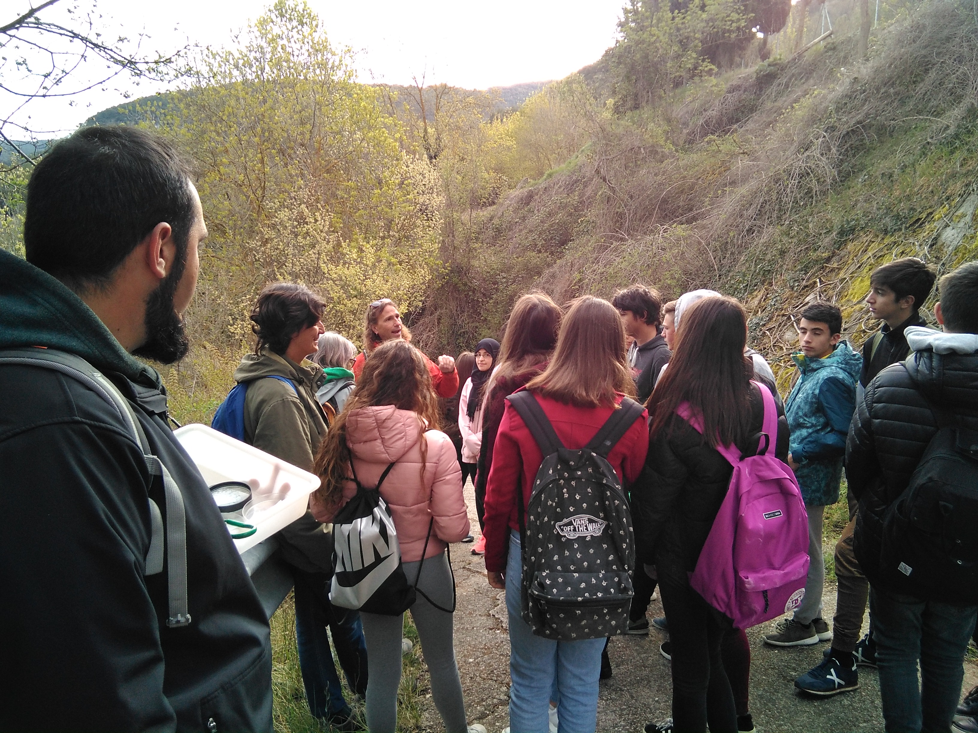 QUEROL 1