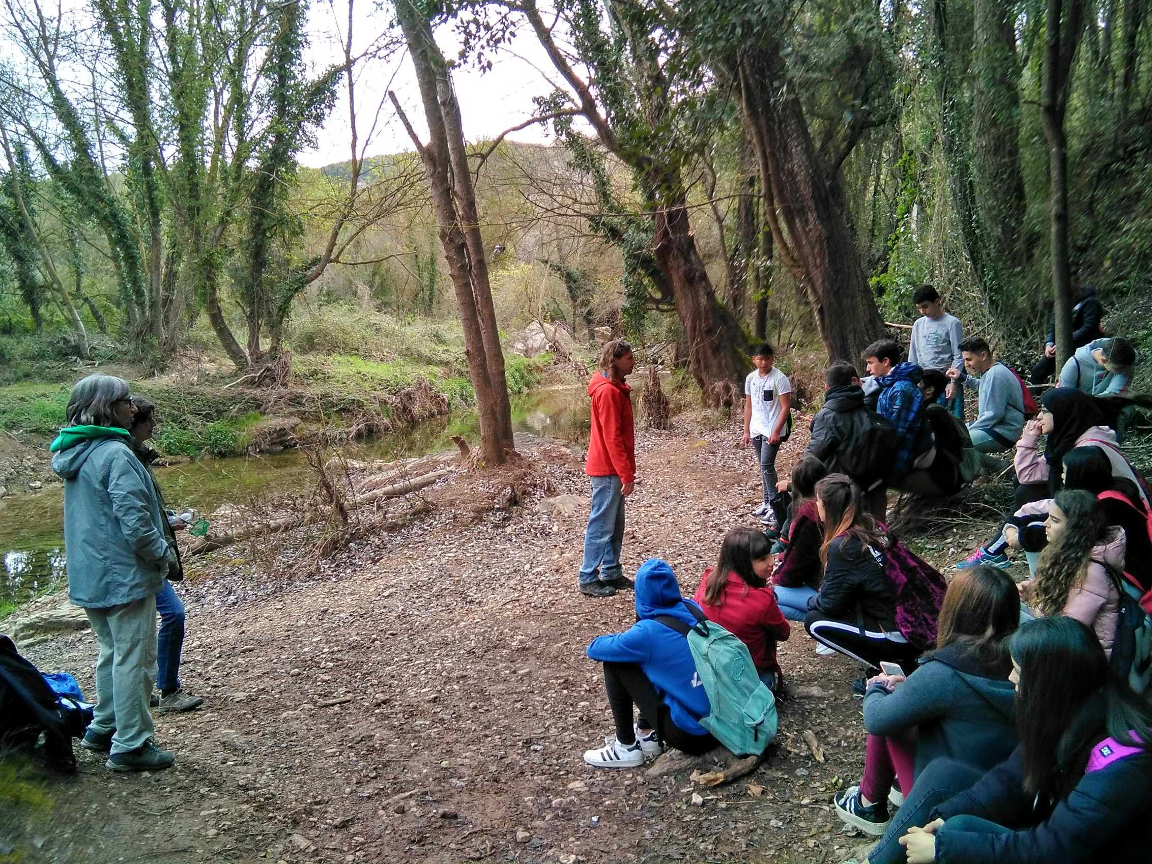 QUEROL 3