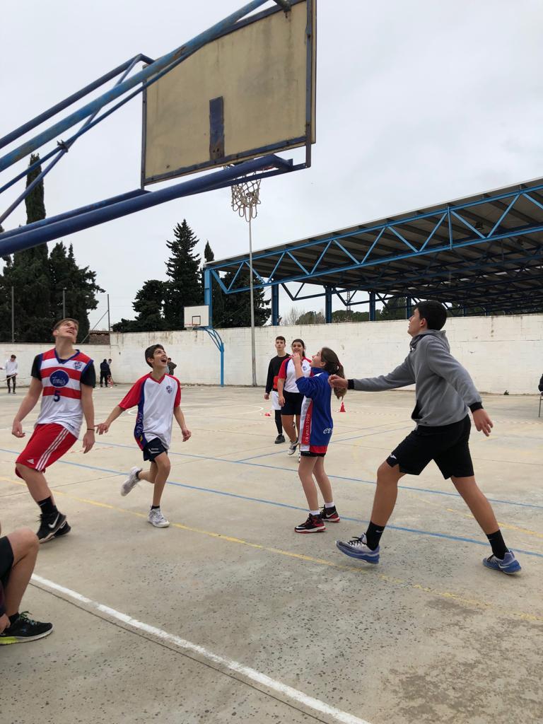 BOSCO BASQUET