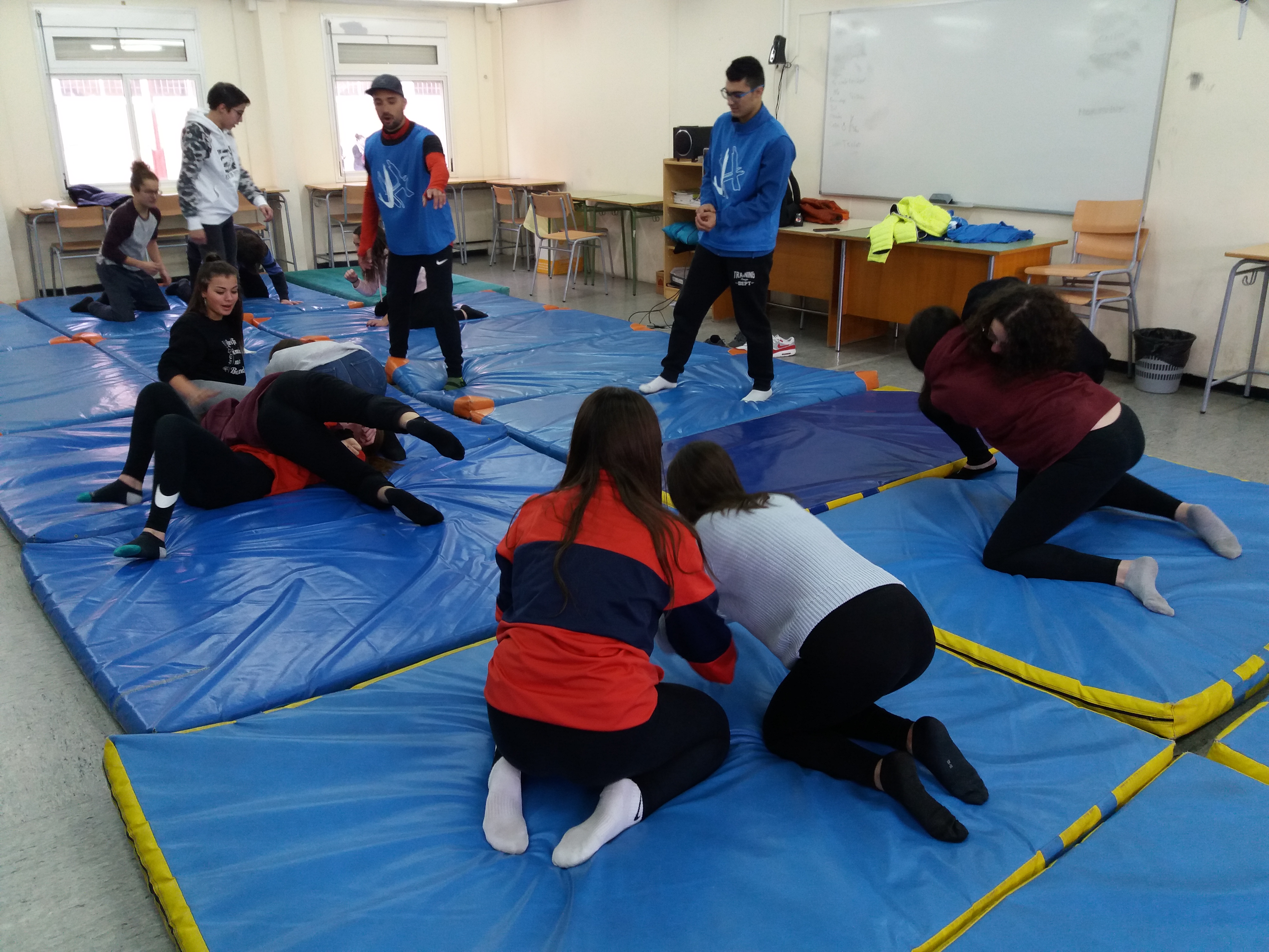bosco judo