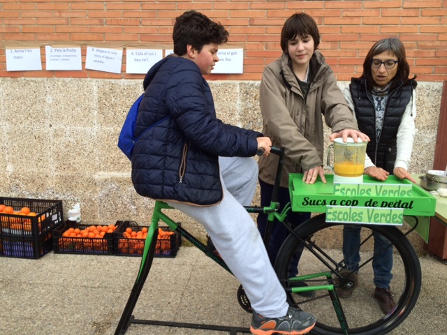 BOSCO BICI
