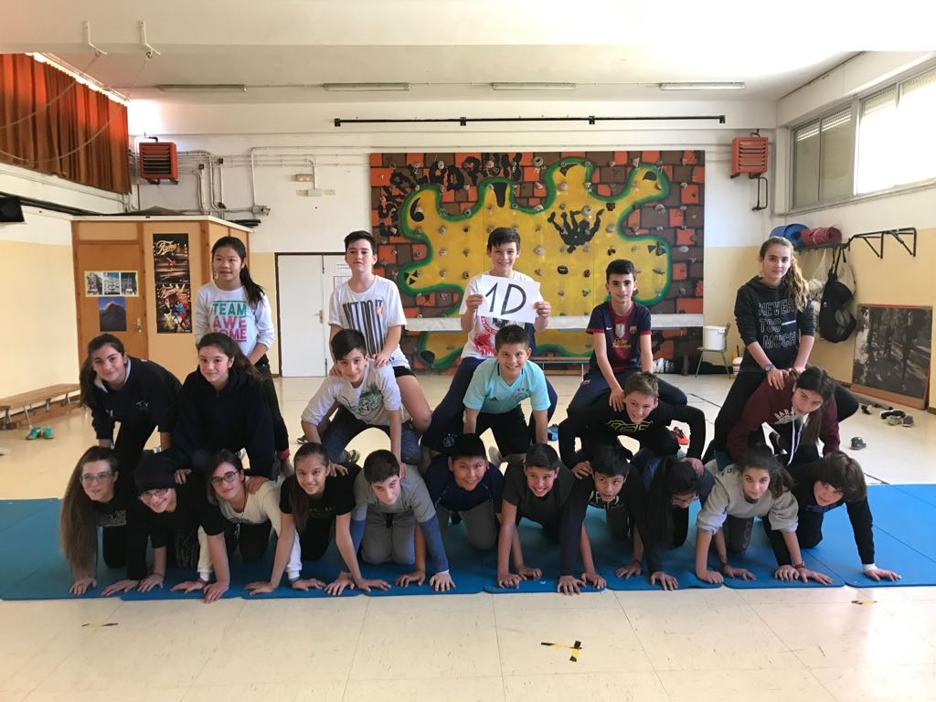 acrosport 1d