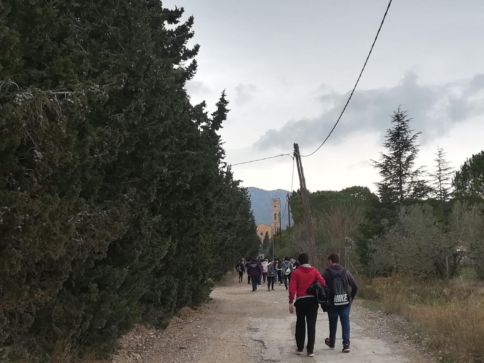 BOSCO 16