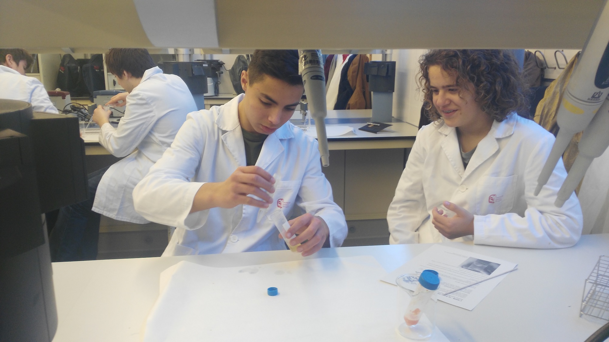 URVQUÍMICA 6