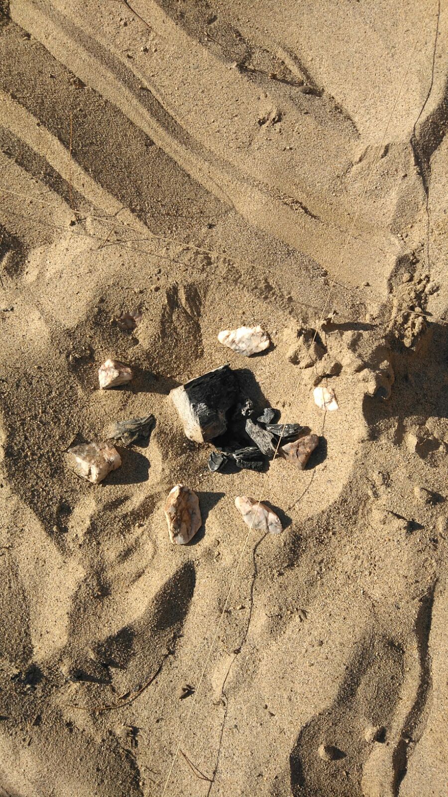 arqueologia 3
