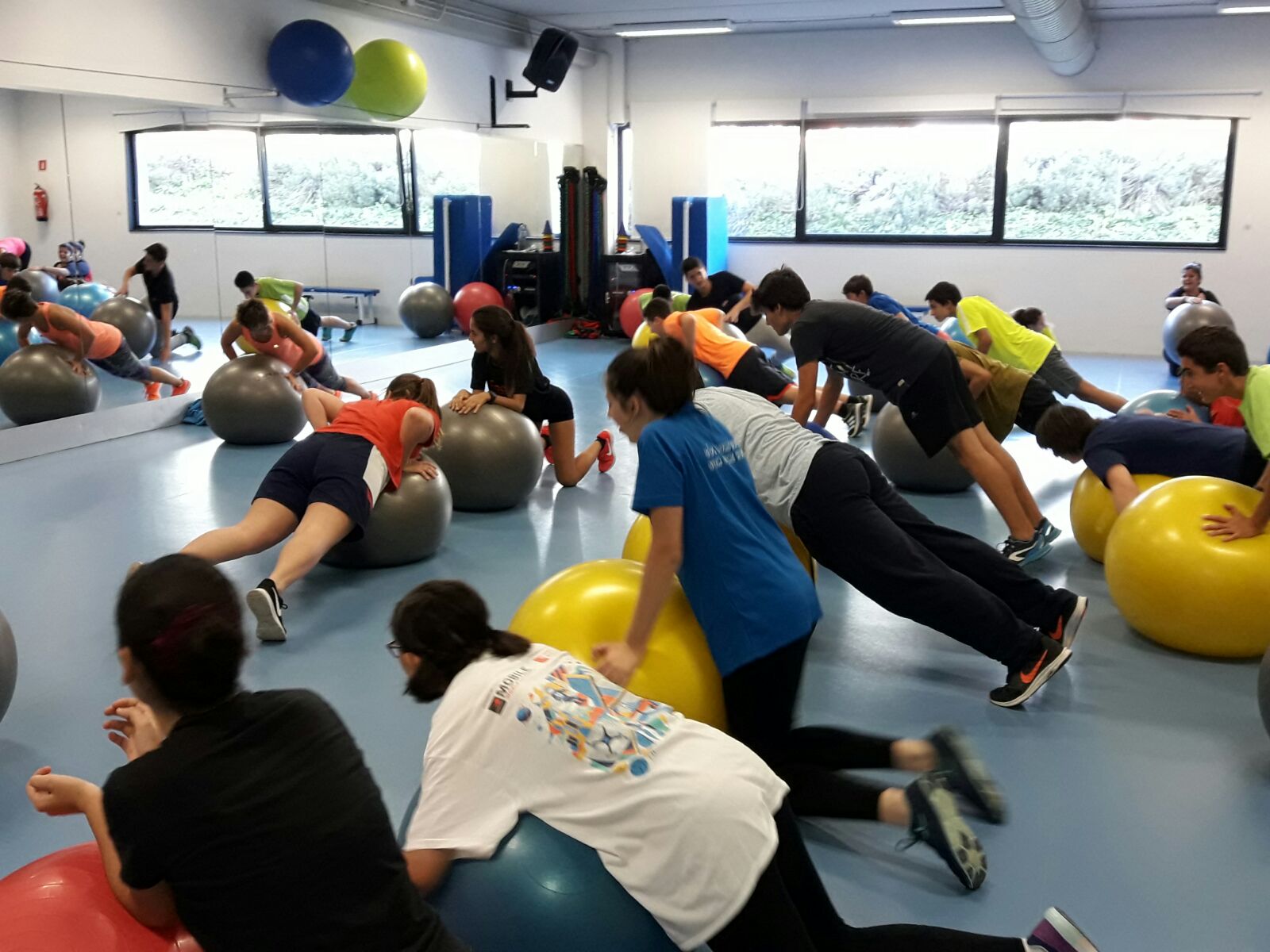 fitjove 
