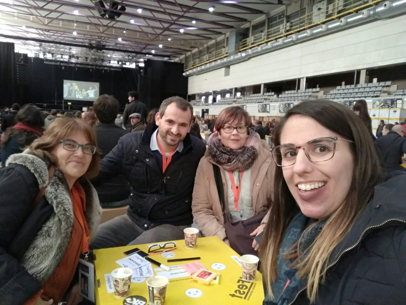 ifestcat 6