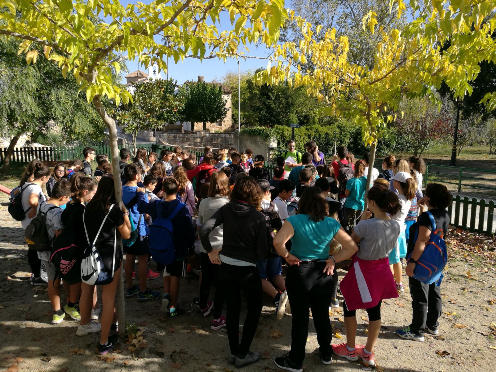 vallmoll 3