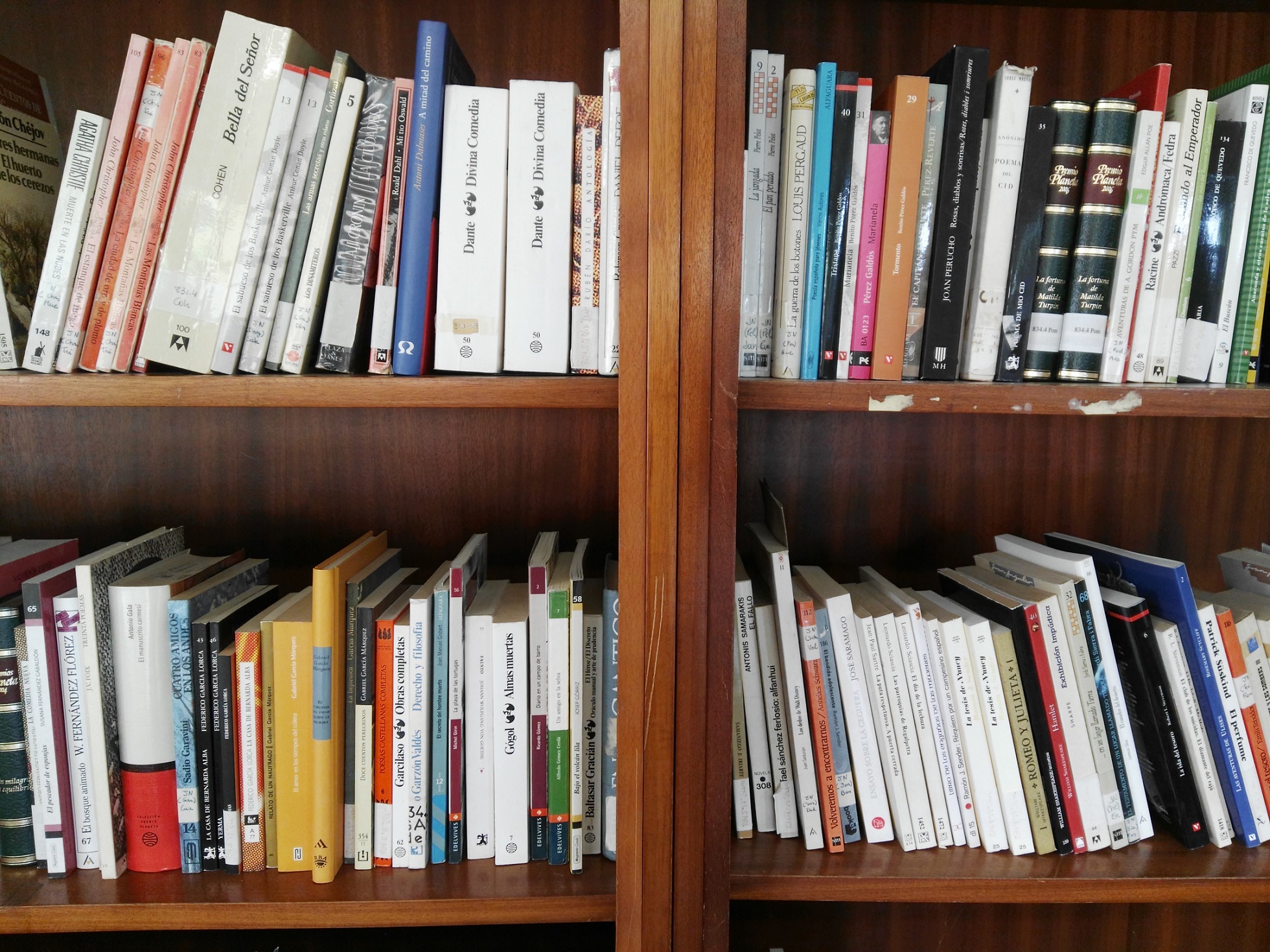 biblioteca SETEMBRE